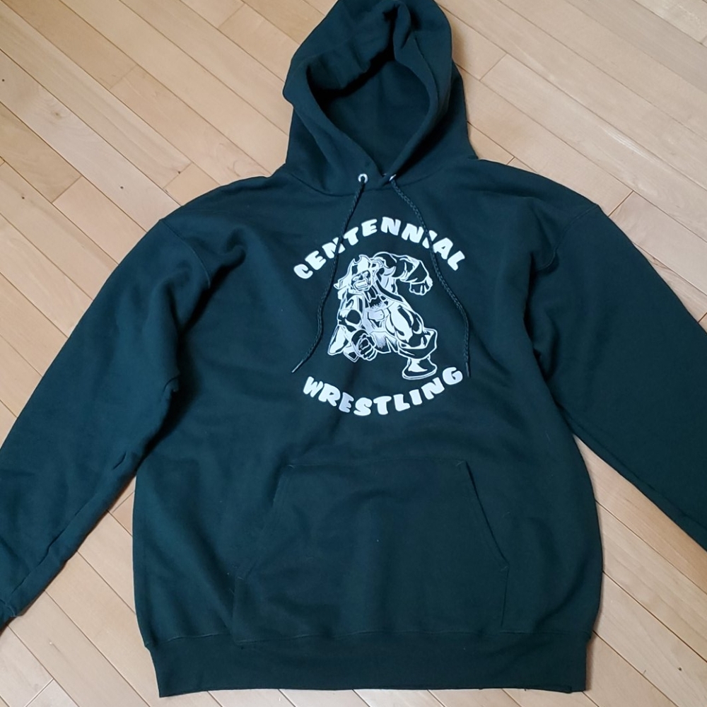 Hanes hoodie M